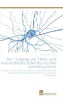 Todesligand TRAIL und traumatische Schädigung des Nervensystems
