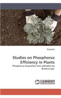 Studies on Phosphorus Efficiency in Plants