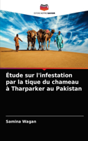 Étude sur l'infestation par la tique du chameau à Tharparker au Pakistan