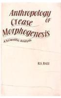 Anthropology of Crease Morphogenesis: A Scientific Analysis