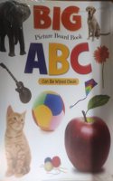 Big Picture Board Book ABC