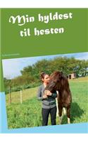 Min hyldest til hesten