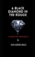 Black Diamond In The Rough: A Trenton Chronicle