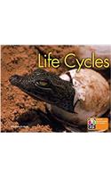 PYP L6 Life Cycles single: (Pearson Baccalaureate PrimaryYears Programme)