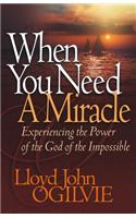 When You Need a Miracle: Experiencing the Power of the God of the Impossible