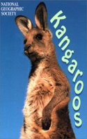 Animal Safari