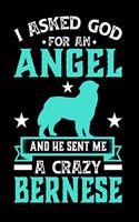 I Asked God For An Angel And He sent Me A Crazy Bernese: Gifts for Dog Owners 100 page 6 x 9 Daily journal to jot down your ideas and notes