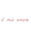il mio amore