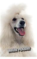 White Poodle: 2020 Weekly Calendar - 12 Months - 107 pages 6 x 9 in. - Planner - Diary - Organizer - Agenda - Appointment - Half Spread Wide Ruled Pages