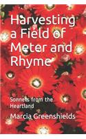 Harvesting a Field of Meter and Rhyme