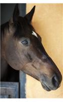 Elegant Bay Horse Portrait Journal: 150 Page Lined Notebook/Diary