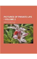 Pictures of Private Life (Volume 2)