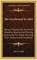 The Greyhound In 1864