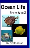 Ocean Life: A to Z