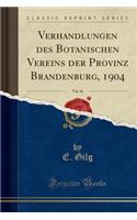 Verhandlungen Des Botanischen Vereins Der Provinz Brandenburg, 1904, Vol. 46 (Classic Reprint)