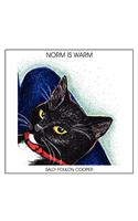 Norm is Warm