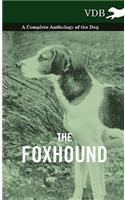 Foxhound - A Complete Anthology of the Dog