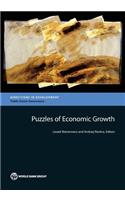 Puzzles of Economic Growth