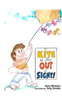 kite that FLEW out of sight!