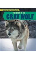 Return of the Gray Wolf