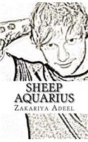 Sheep Aquarius: The Combined Astrology Series