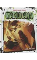 Marijuana: (Dangerous Drugs)