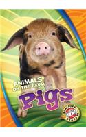Pigs