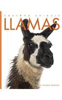 Llamas: (Amazing Animals)