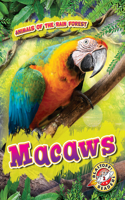 Macaws