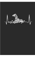 Dalmatian Heartbeat