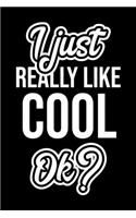 I Just Really Like Cool Ok?: Christmas Gift for Cool lover - Funny Cool Journal - Nice 2019 Christmas Present for Cool - 6x9inch 120 pages