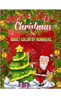 Christmas Adult Color By Numbers: a beautiful coloring book with Christmas