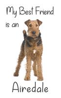 My best Friend is an Airedale
