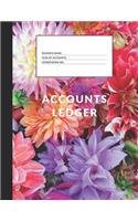 Accounts Ledger