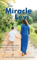 The Miracle of Levi
