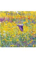 Texas Nature 2021 Square Foil