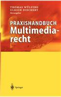 Praxishandbuch Multimediarecht