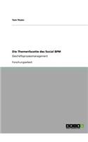 Themenfacette des Social BPM