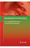Nanobioelectrochemistry