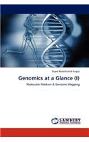 Genomics at a Glance (I)