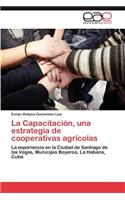 Capacitación, una estrategia de cooperativas agrícolas