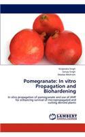 Pomegranate