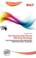Developmental Needs Meeting Strategy