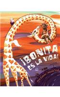 Bonita es la vida! (Life Is Beautiful!)