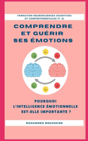 Comprendre Et Guérir Ses Émotions