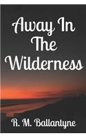 Away In The Wilderness