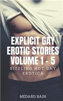 Explicit Gay Erotic Stories Volume 1 - 5: Sizzling Hot Gay Erotica