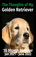Thoughts of My Golden Retriever