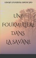 Une fourmiliere dans la Savane