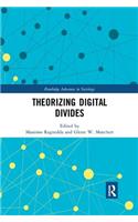 Theorizing Digital Divides